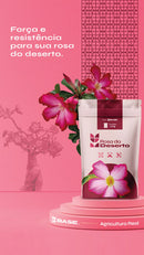 Rosa do Deserto