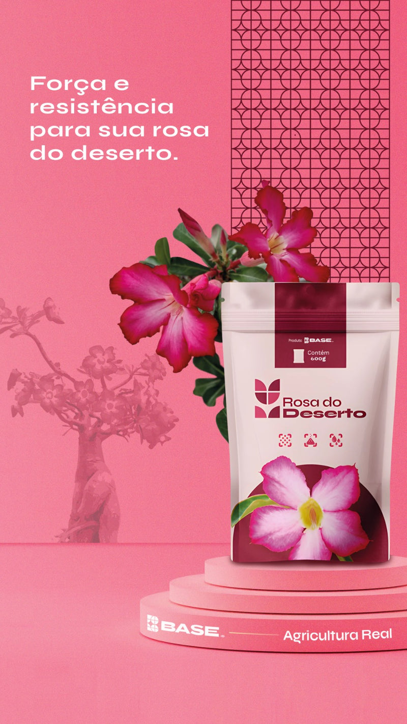 Rosa do Deserto